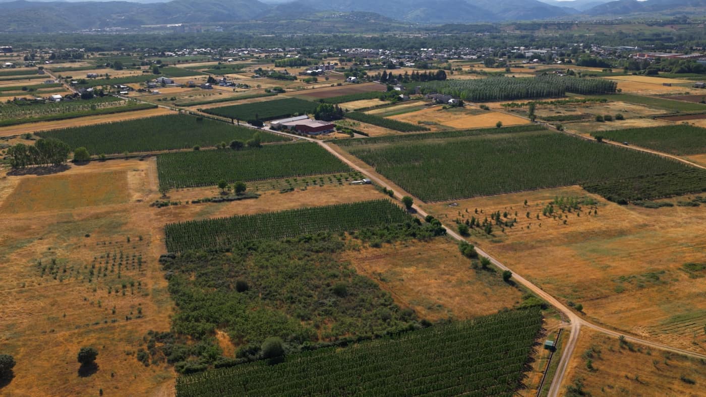 Grabación aérea con dron de un evento privado en una bodega — Horizon Sky Drone